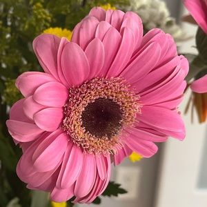 Meet your Posher, Magda